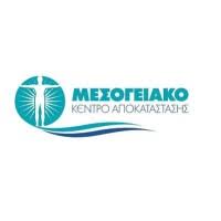 μεσογ